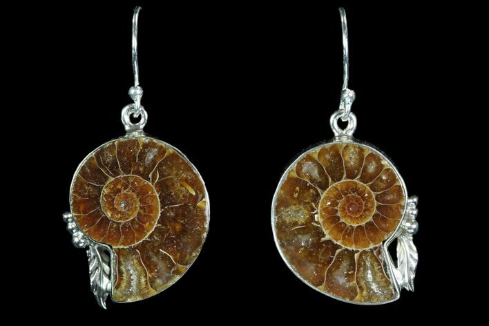 Fossil Ammonite Earrings - Sterling Silver #82260